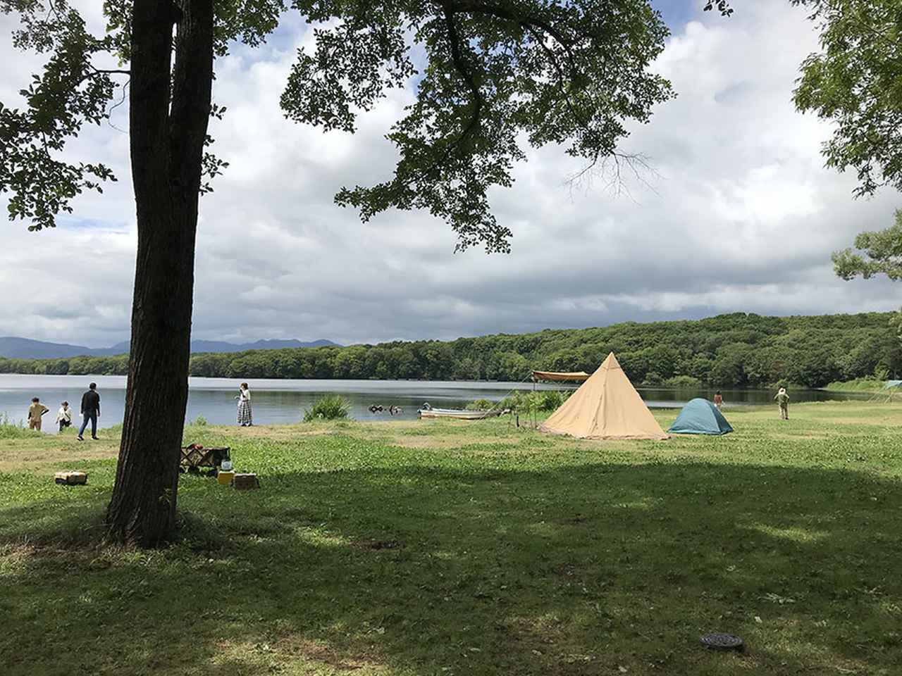 画像1: 【8日目】青森県の恐山の山道で、野生のテンとウサギに遭遇