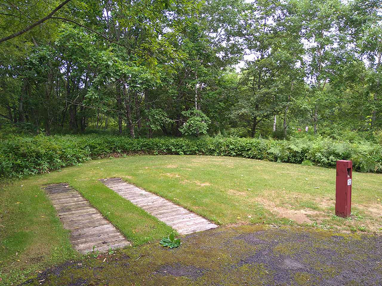 画像3: 【6日目】釧路湿原を眺め、牧草地で遊ぶキタキツネを遠くから望む