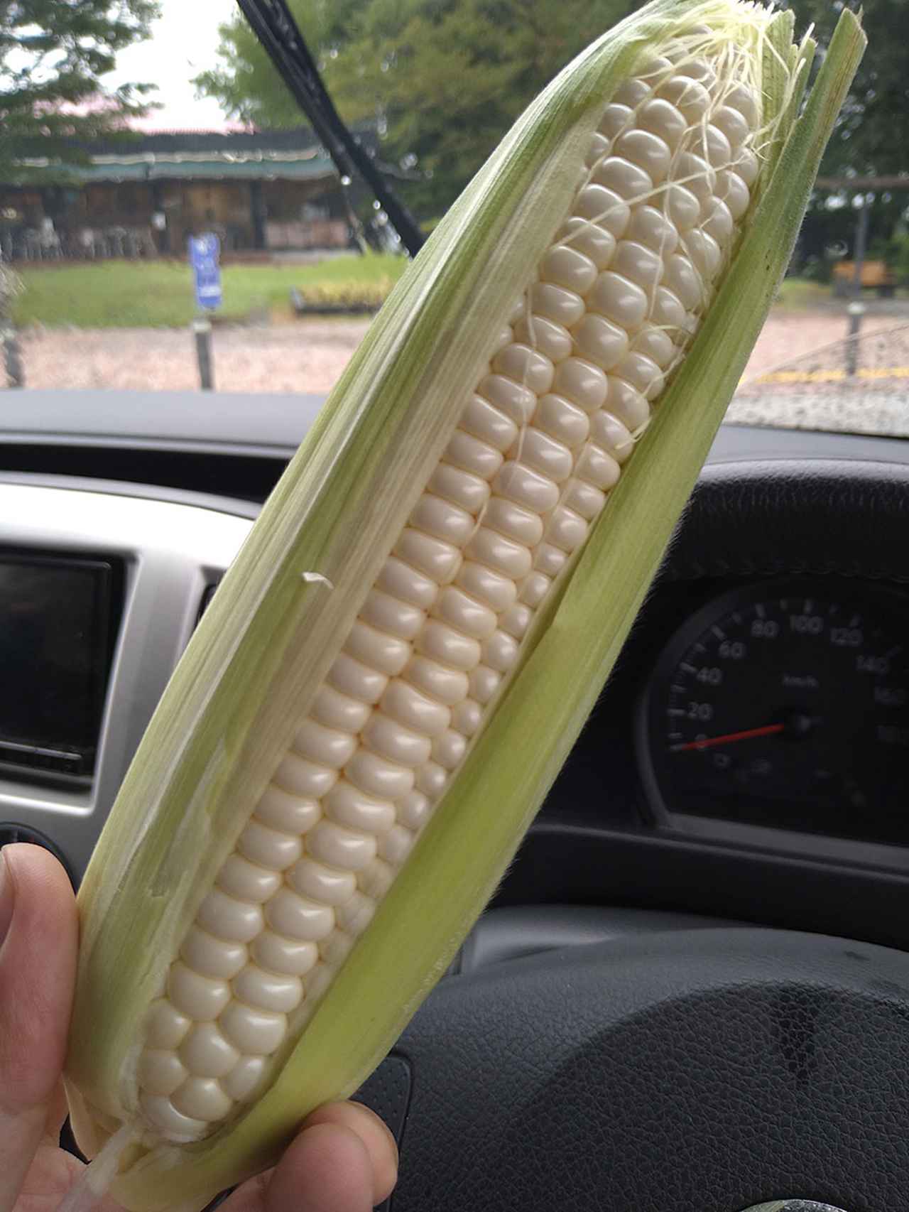 画像3: 【10日目】おいしい手打ちそばと採れたての野菜で締めくくり