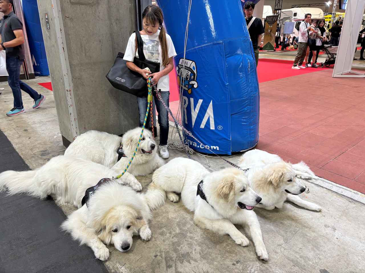 画像: 昨年の会場内の様子。もはや家族の一員として、ペットと一緒に旅するキャンピングカー・オーナーも多い。