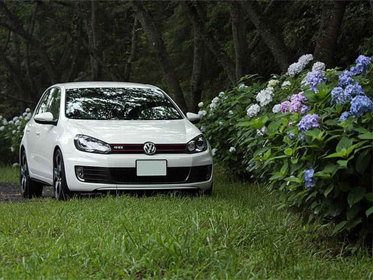 ☆アジサイ・ブラックスチール”ゼブラ”6号底面給水鉢