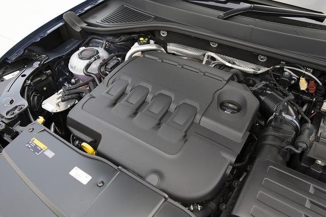 画像7: 「T-Roc」日本発売