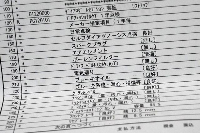 画像2: 【e-Golf】はじめての12カ月点検