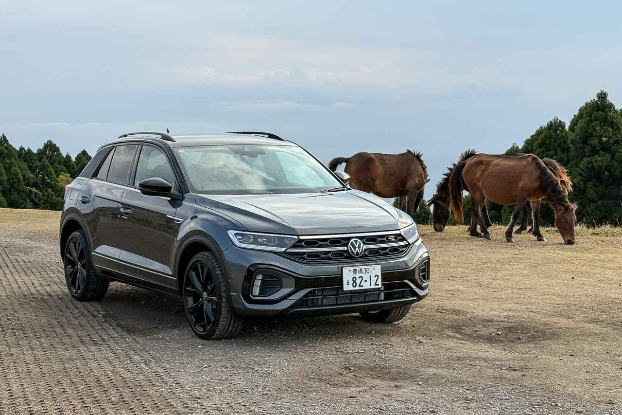 画像: T-Roc TDI 4MOTIONで都井岬を訪れたときの様子。一緒に映っている「岬馬」は野生化した家畜馬で、国の天然記念物に指定されています。