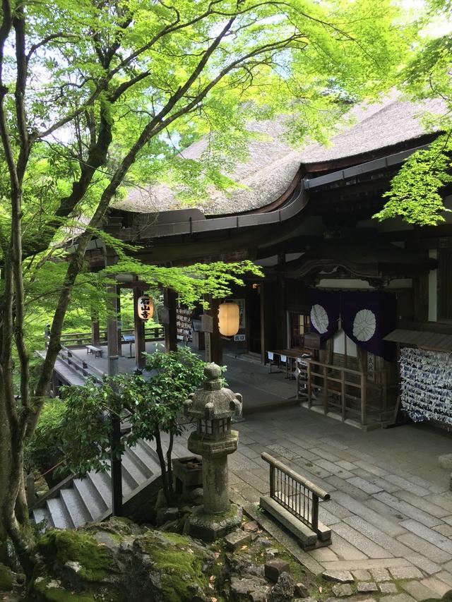 画像: 緑に囲まれた趣ある本堂