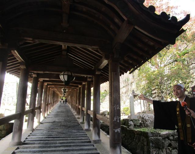 画像: 上・中・下の三廊に分かれている登廊。階段の段数はなんと399段!