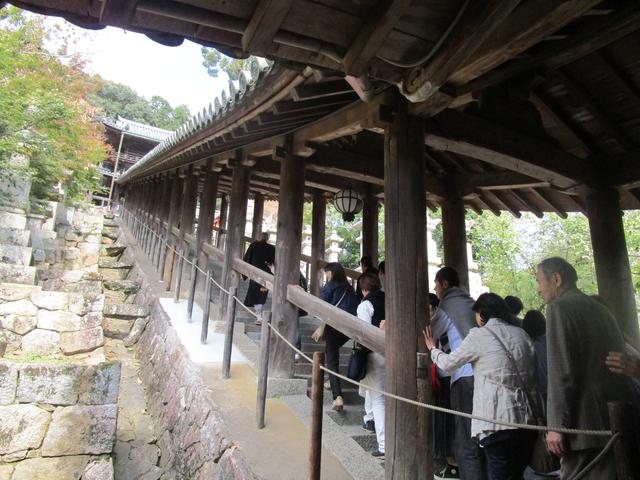 画像: 下廊、中廊を経て、上廊に差し掛かったところ。少し息切れする方も!