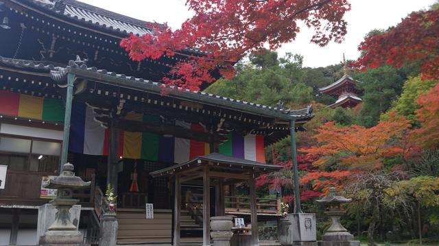 画像: 2019年2月17日放送分【今熊野観音寺編】