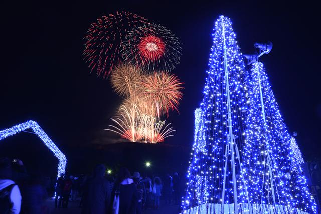 画像: 最終日の2月14日(金)には、「奈良公園バースデー花火」の打ち上げも(2019年の様子)