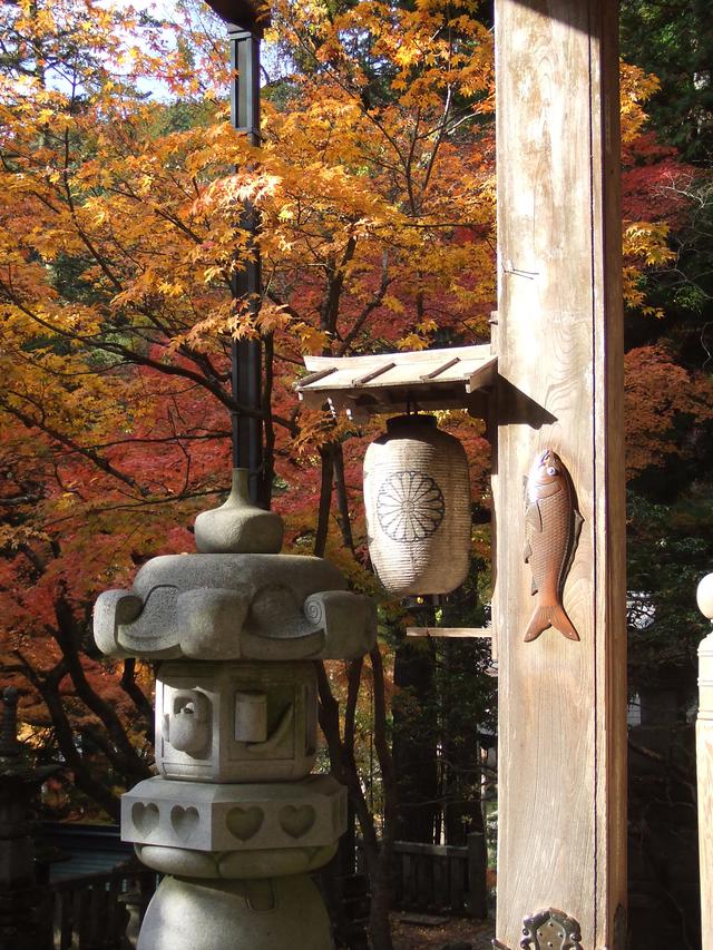 画像: 本堂の柱に打ち付けられた、精進落しの鯉。こちらに触れて、西国巡礼の旅を締めくくります。