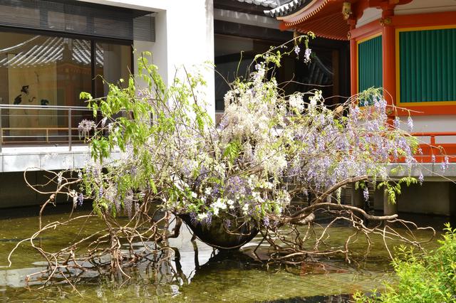 画像: 西国第18番札所「頂法寺」六角堂の境内も会場となっている(写真は過去開催時の作品)