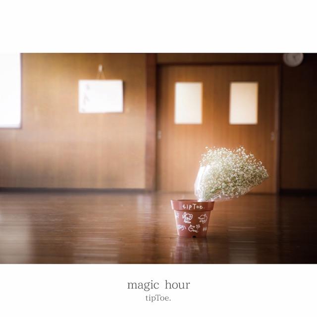 画像: magic hour / tipToe.