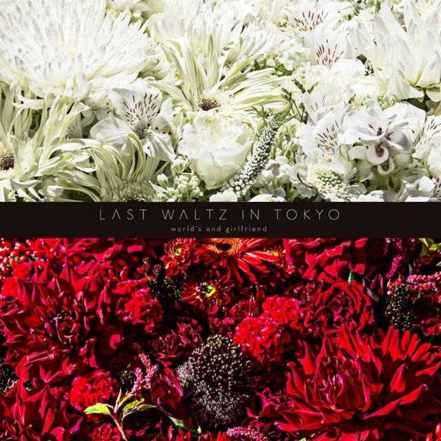 画像: LAST WALTZ IN TOKYO / world's end girlfriend