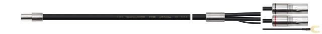 画像: AT-TC1000DX(入力側プラグDIN 5Pin/出力側プラグXLR)