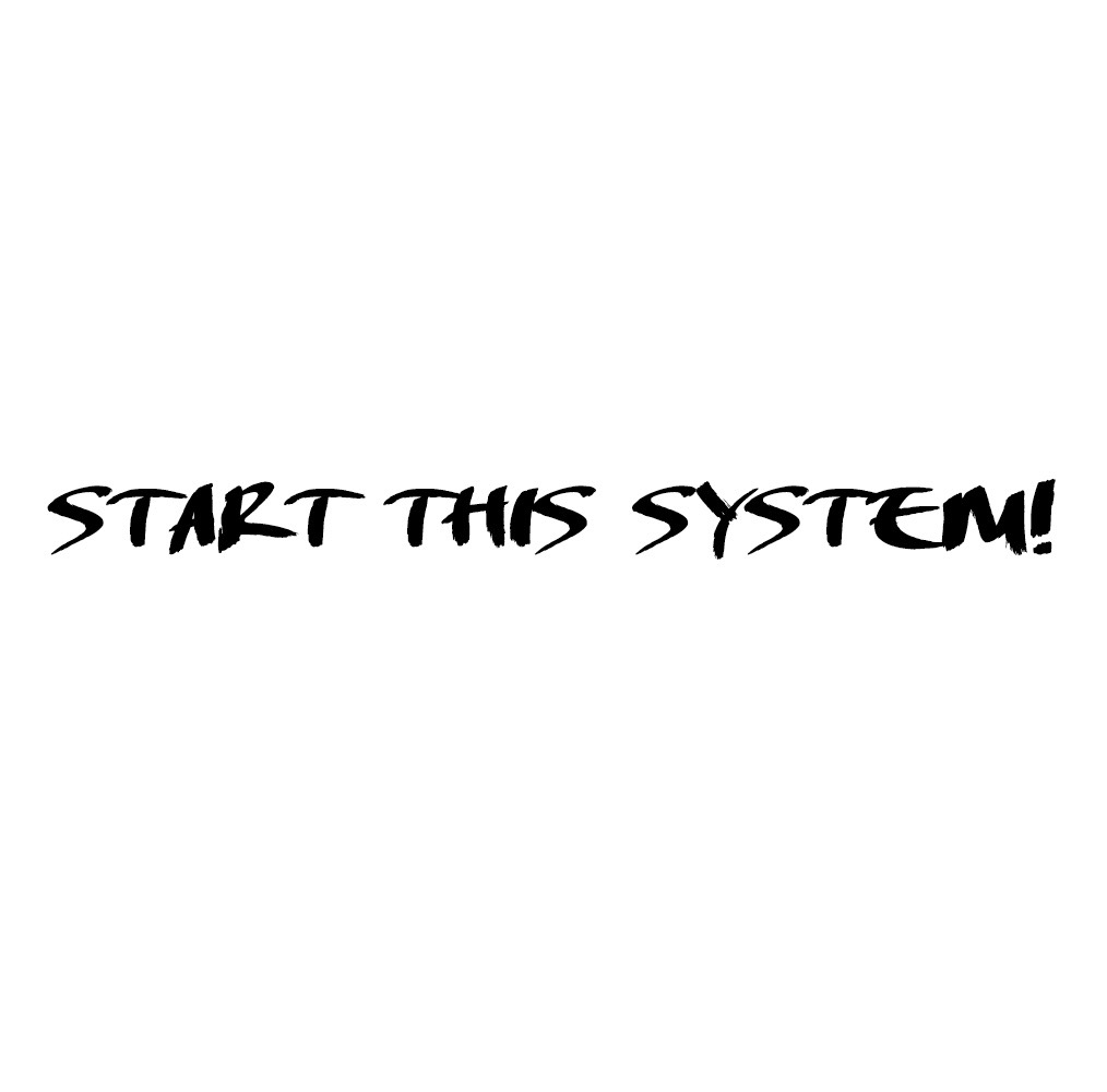 画像: START THIS SYSTEM! / HAMIDASYSTEM