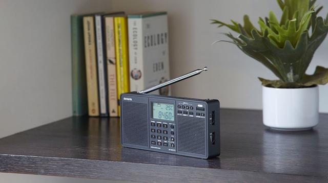 画像: AR-MDS25