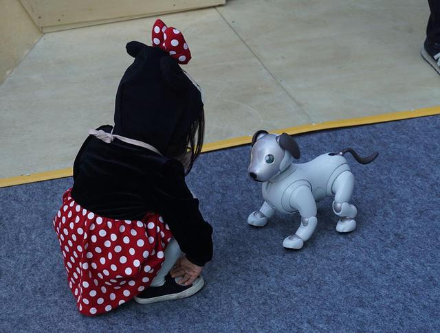 画像: 会場入り口にはaiboも多数。子供や女性が立ち止まってそのかわいい動きに見とれていた