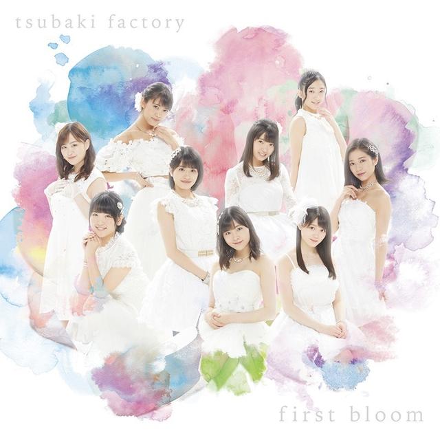 画像: first bloom / つばきファクトリー