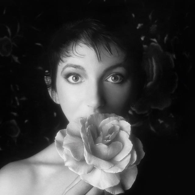 画像: Remastered Pt. II / Kate Bush