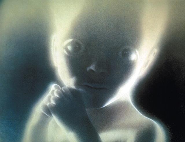 画像5: © 1968 Warner Bros. Entertainment Inc. All Rights Reserved.