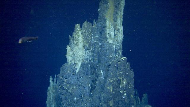 画像: 「ビッグチムニー」と呼ばれる深海の絶景ポイント (c)NHK/JAMSTEC