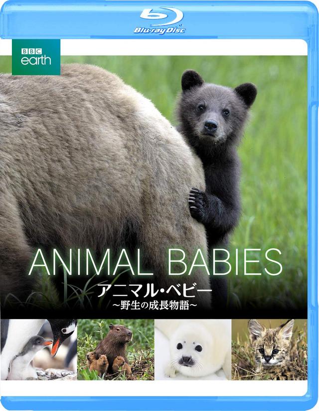 画像9: amzn.to