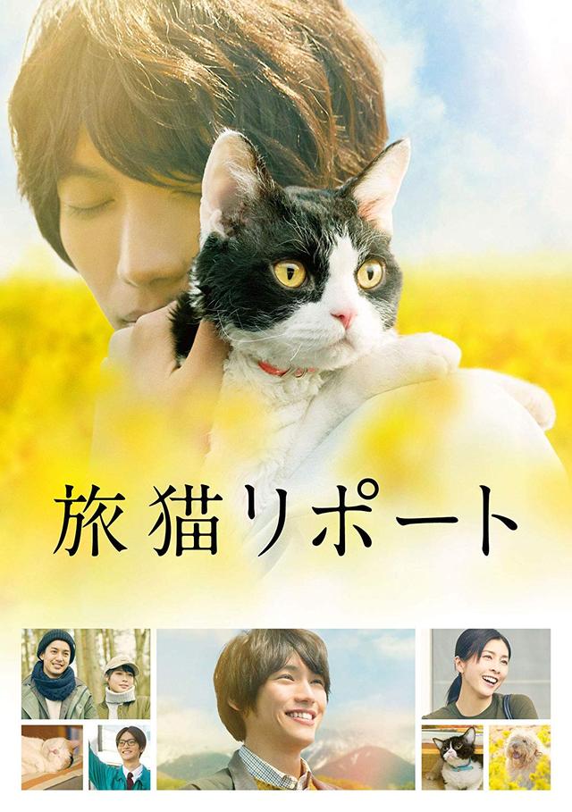 画像14: amzn.to