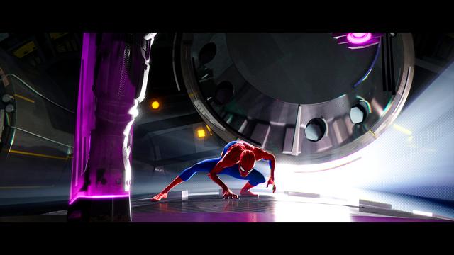 画像5: SCREEN CAPTURES