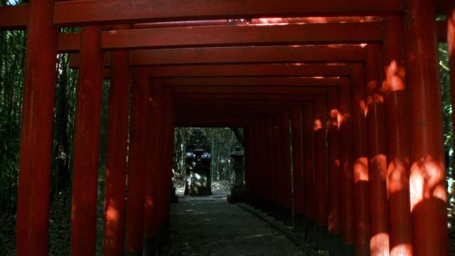 画像2: ルシール・カラ監督作『日本人への旅』【クライテリオンNEWリリース】