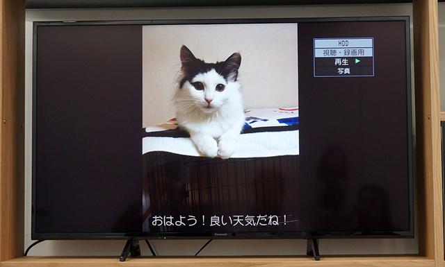 画像: コメント付き写真をディガーで受信・再生したイメージ
