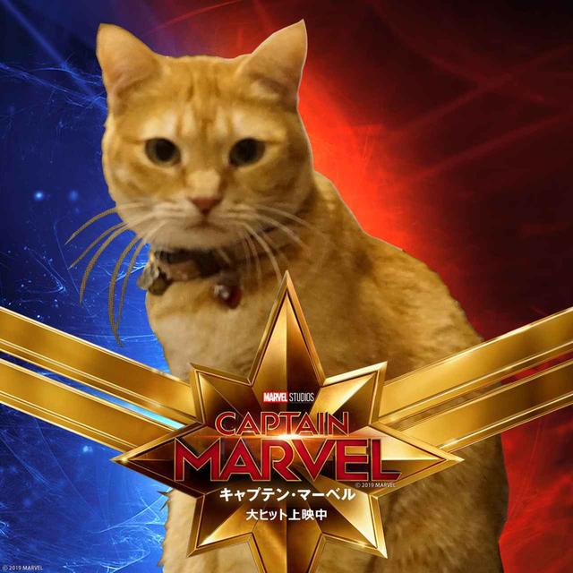 画像: 公式サイトで募集していたので、グラフィックを作ってみました。わが家の『キャプテン・モカ』です