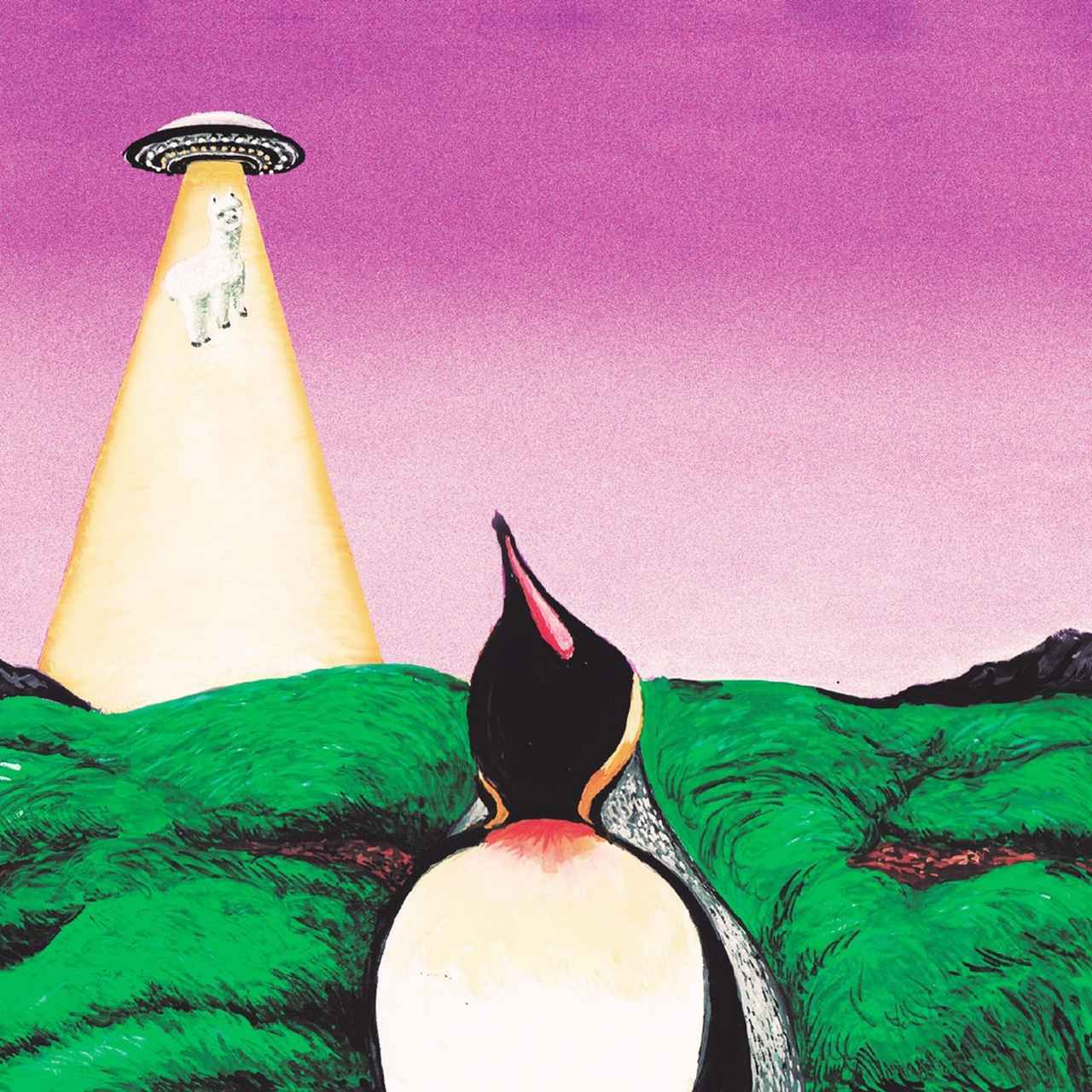 画像: Y / SOUTH PENGUIN