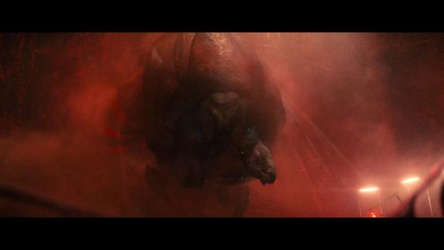 画像3: SCREEN CAPTURES