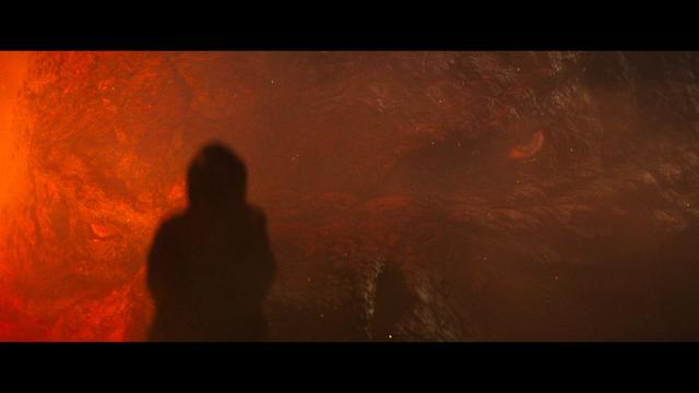画像18: SCREEN CAPTURES
