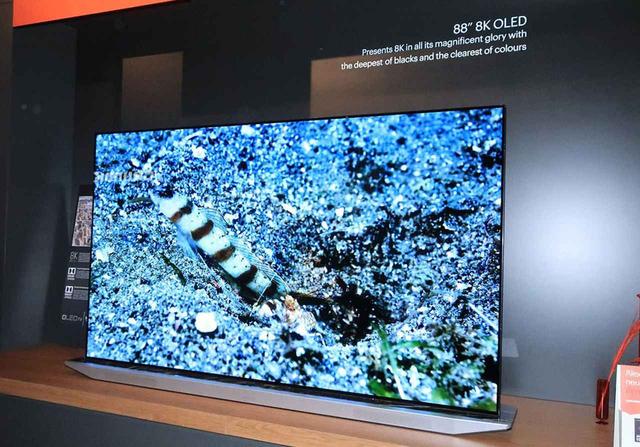 画像: ドイツ・グルンディヒの88型有機EL・8K