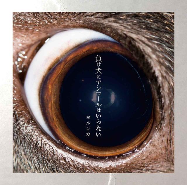 画像: 負け犬にアンコールはいらない / ヨルシカ