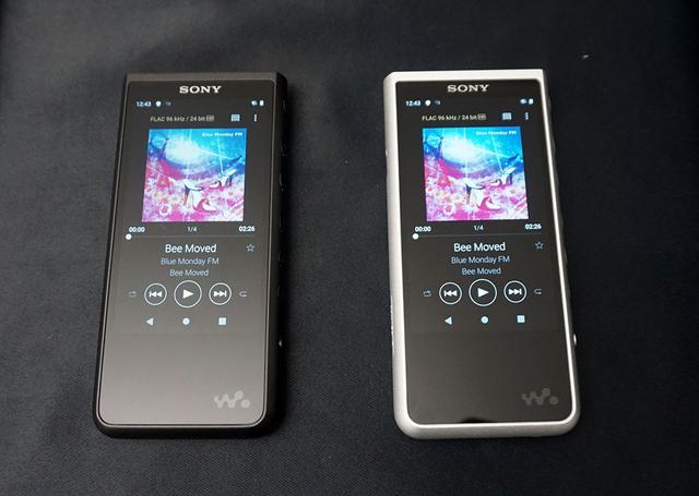 画像: 「NW-ZX500」シリーズも3.6インチのモニターを搭載する。カラリングはブラックとシルバーの2色