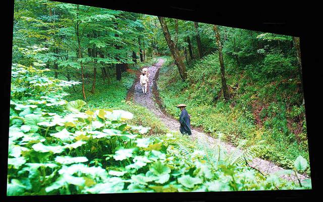画像: 8Kのメリットは自然と人物が高精細で共存すること