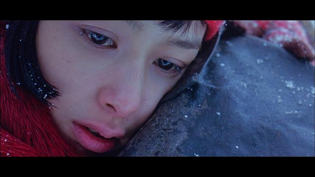 画像18: SCREEN CAPTURES