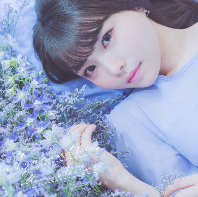 画像: Agapanthus/麻倉もも