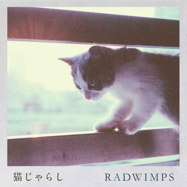 画像: 猫じゃらし / RADWIMPS