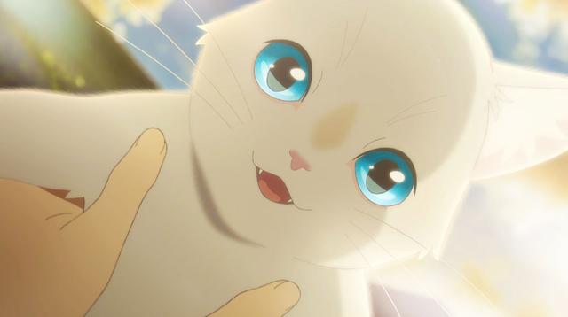 画像2: ちょっと不思議な少女は、猫となって大好きな人に会いに行く