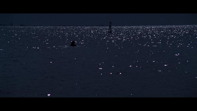 画像2: SCREEN CAPTURES