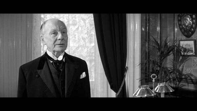 画像8: SCREEN CAPTURES