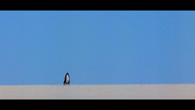 画像9: screen capture