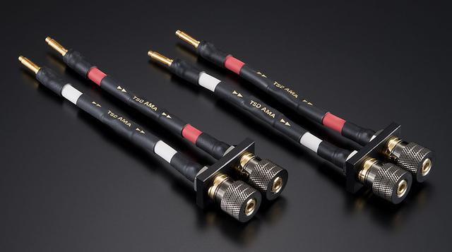 画像: バナナ端子モデルの「TSD-AMA(B)」