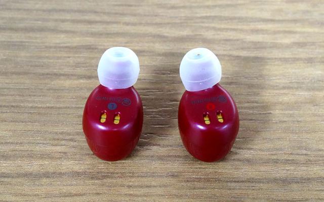 画像2: 日本発のオーディオブランドAVIOTの完全ワイヤレスイヤホン「TE-D01g」は、バランスの取れたサウンドが持ち味で、響きの豊かさが絶品