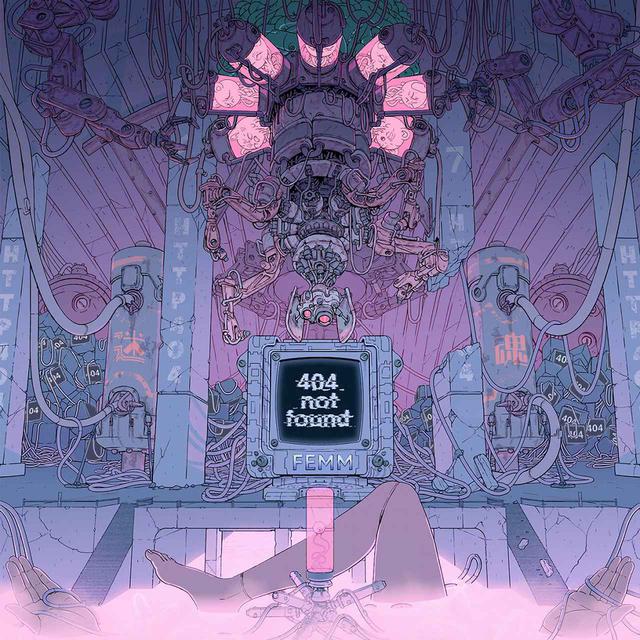 画像: 404 Not Found / FEMM