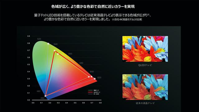 画像4: QLED液晶搭載TCL「65C815」さくさく動作と高音質サウンドでネット動画を楽しもう!<最新テレビで観る。聴く。ネット動画配信>