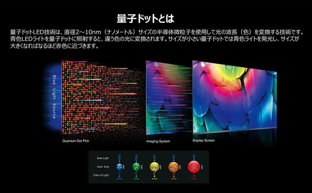 画像5: 明るく色鮮やかな色彩でネット動画を楽しむ!TCLから先進のQLED搭載液晶テレビ65C815登場